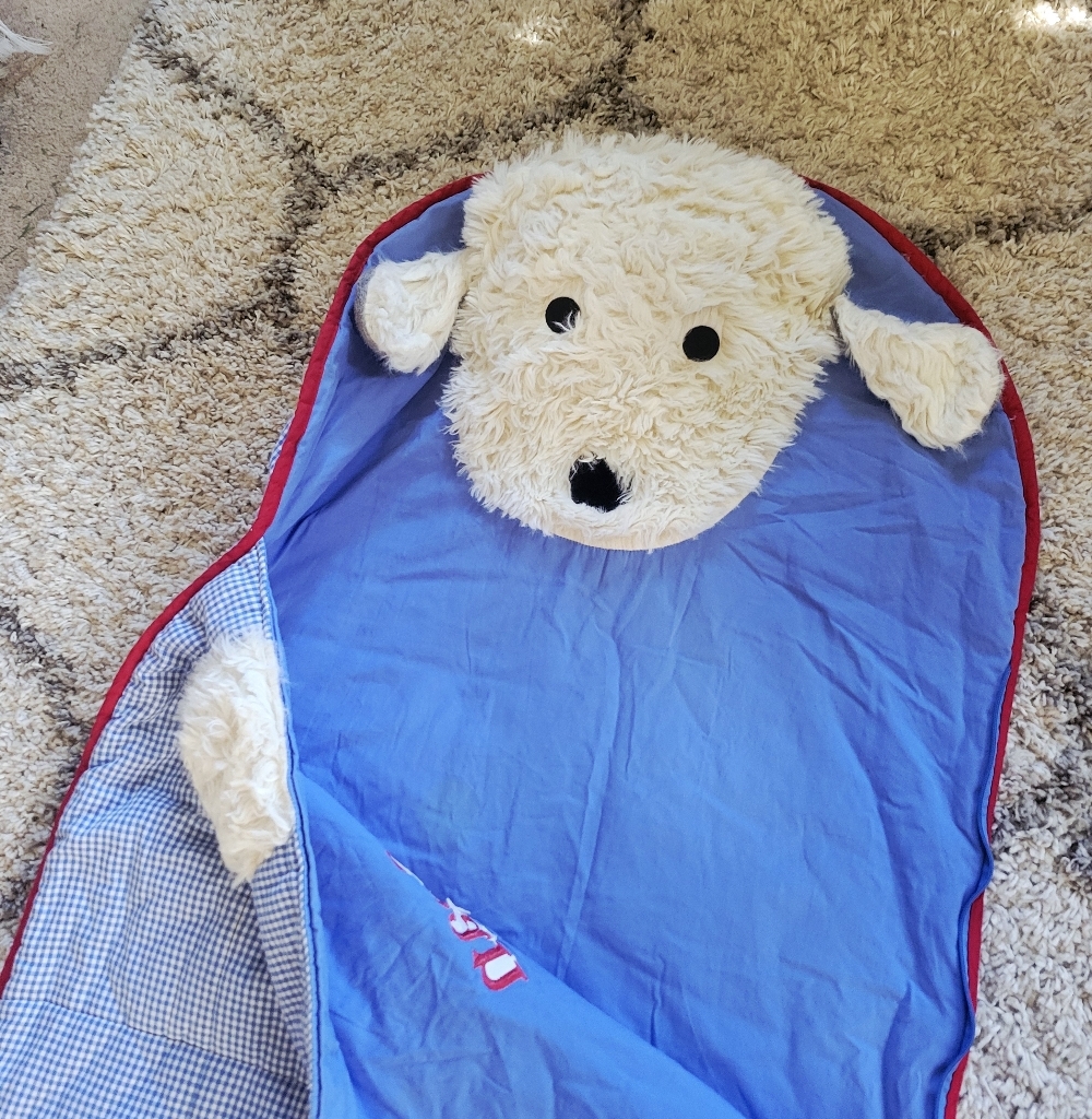 Pottery Barn Kids Shaggy Puppy Dog Sleeping Bag Blue Gingham SEAN - Picture 7 of 13